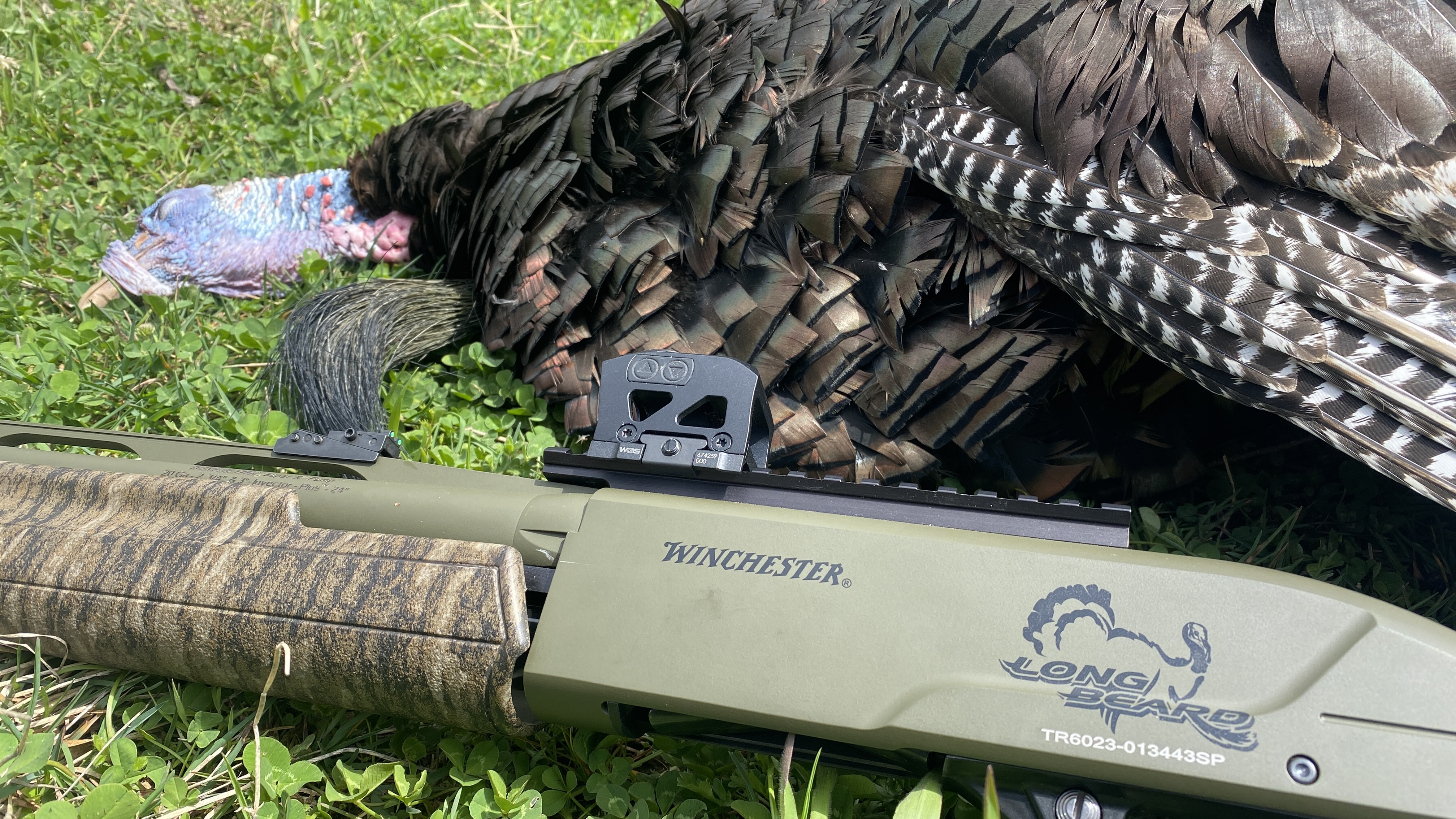 Winchester SXP Long Beard 20 Gauge Review: The Ultimate Turkey